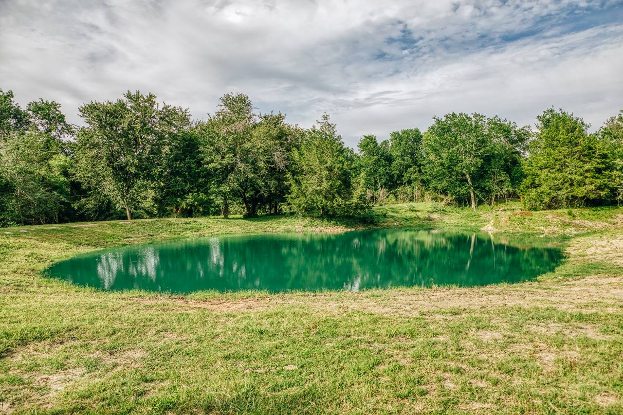 Stocked fishing pond with emerald water reflecting the sky and trees