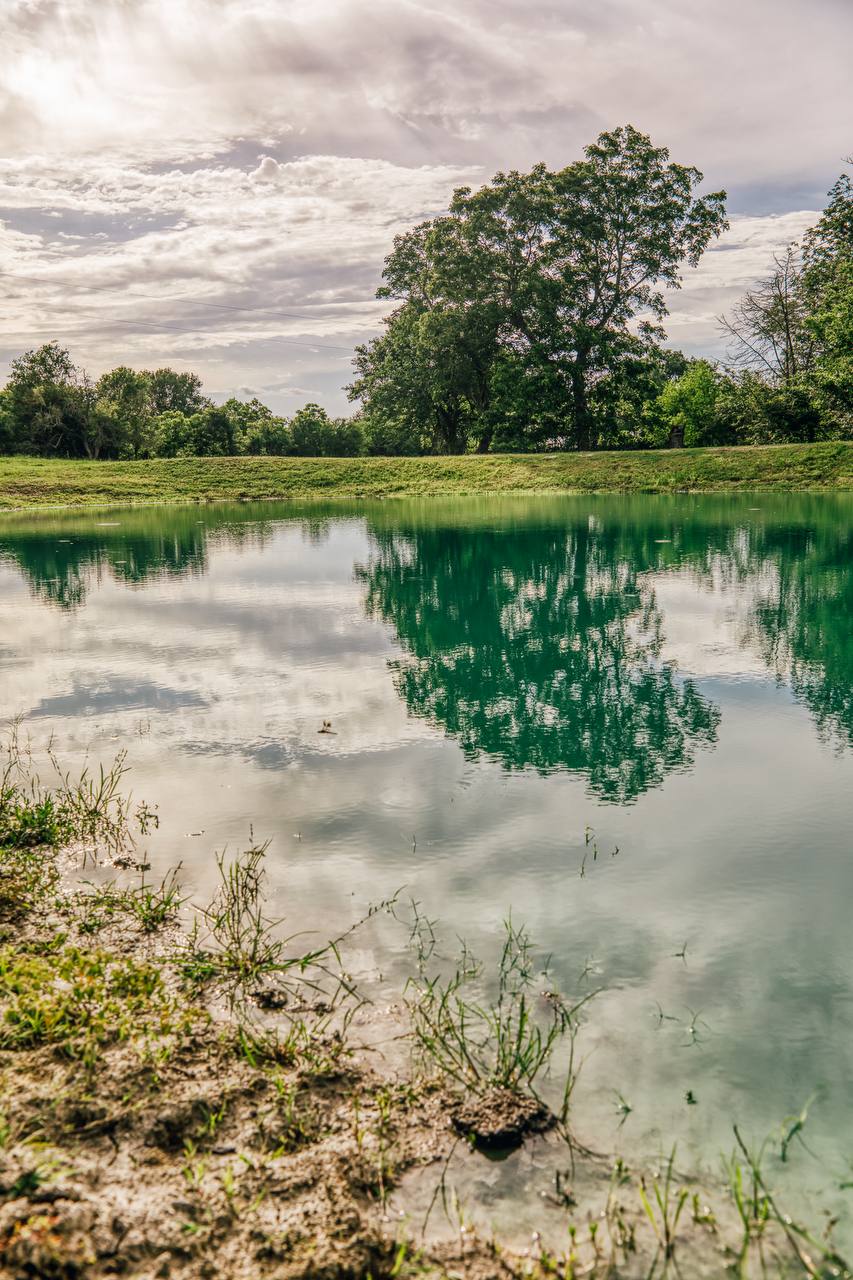 Stocked fishing pond — teal water with mature trees and dramatic clouds
